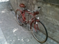 HONOR1933-0020