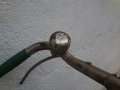 8265209_orig