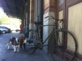 Bicicleta_antigua_Super_CIL_topografo_museo_ferrocarril_Madrid_restauracion_004