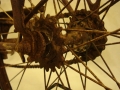 Restauracion_bicicleta_clasica_BH_antigua_varillas_oxido_pintura_cromado_Orbea_GAC_SuperCIL_Derbi_Rabasa_Peugeot_DAL_Gimson_Zeus_Motobecane_Torrot_Terrot_Ducson_Bianchi_Emporium_Raleigh_Dogo_Azor_Gazelle_Razesa_Mentor_117
