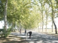 Evento Aranjuez Bicicletas Clasicas Leo_014