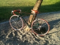 Bicicleta de carreras marca BH del año 1986 - nick: Original Leo