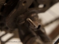 CMR_3983
