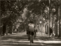 La_Chichonera_2015_Madrid__248