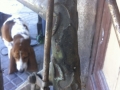Bicicleta_antigua_Super_CIL_topografo_museo_ferrocarril_Madrid_restauracion_008