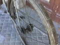 Bicicleta_antigua_Super_CIL_topografo_museo_ferrocarril_Madrid_restauracion_021