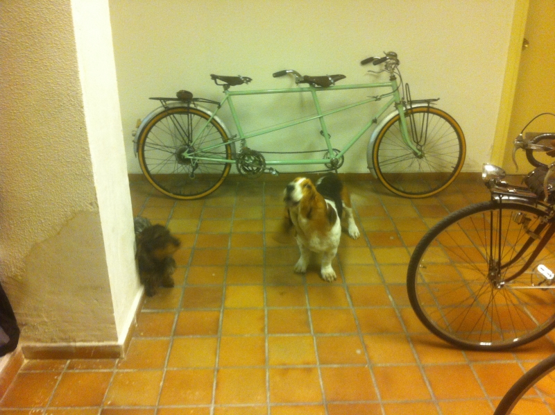 Tandem_antiguo_Talbot_Grand_Randonneur_cicloturismo_Bicicletas_Clasicas_Leo__032